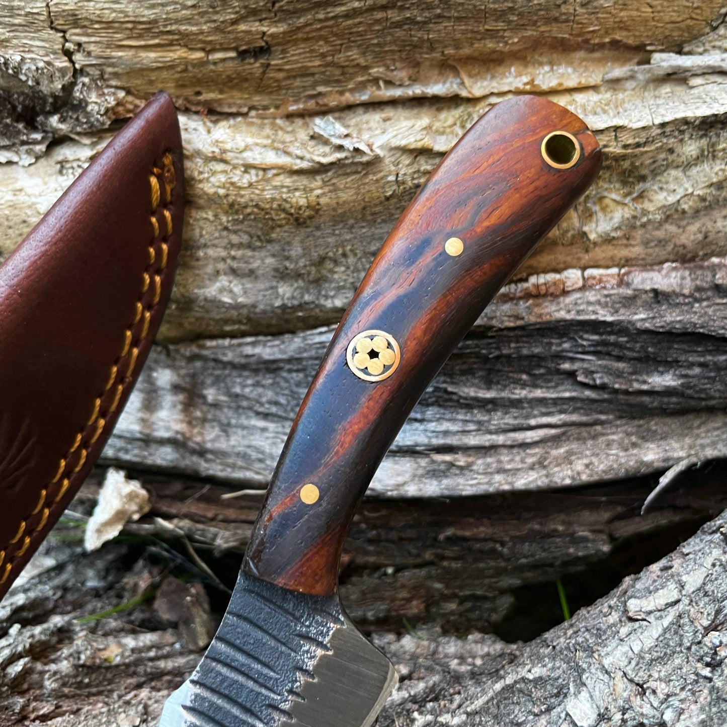 Carbon steel Black Walnut wood scales