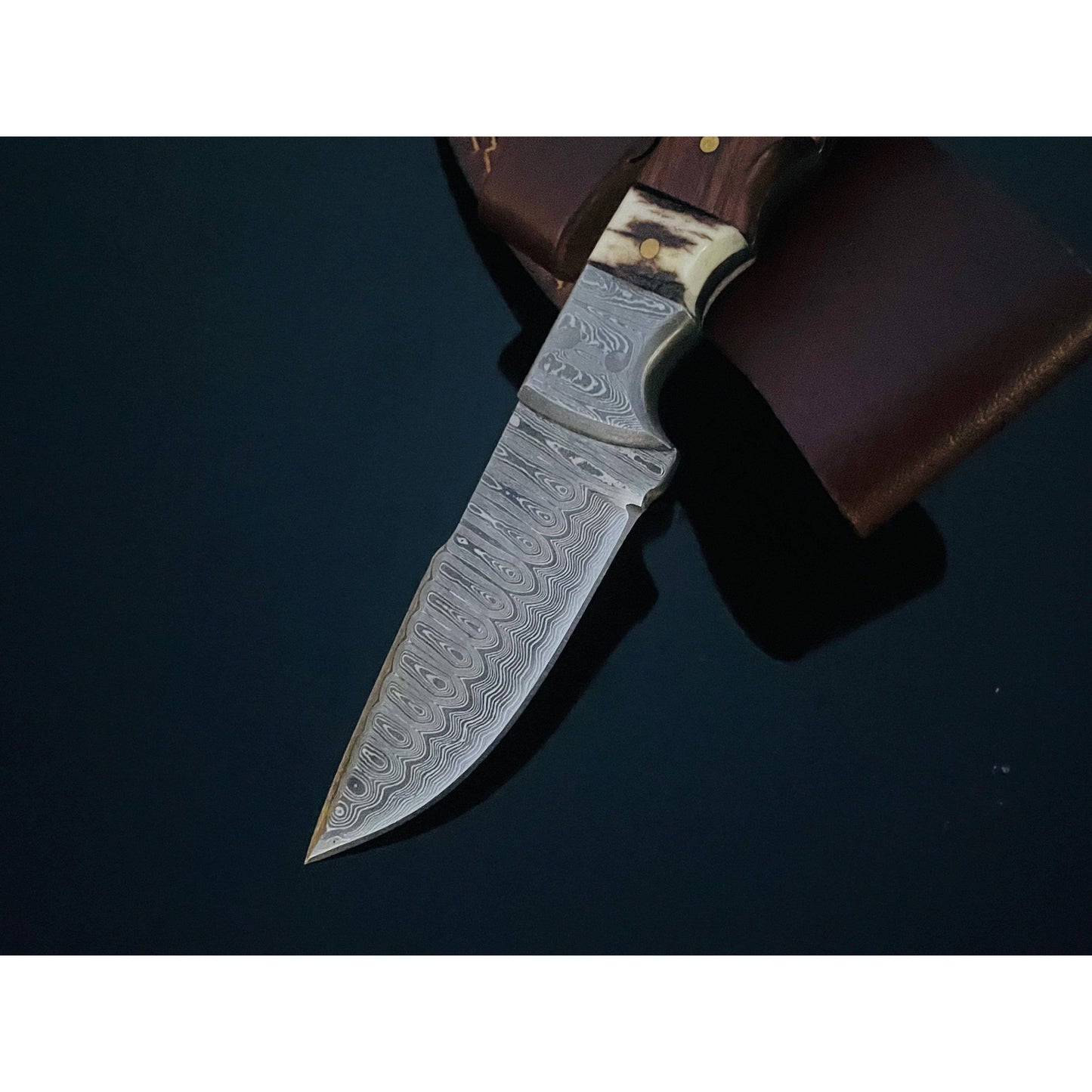 Walnut and Stag horn EDC fixed blade knife