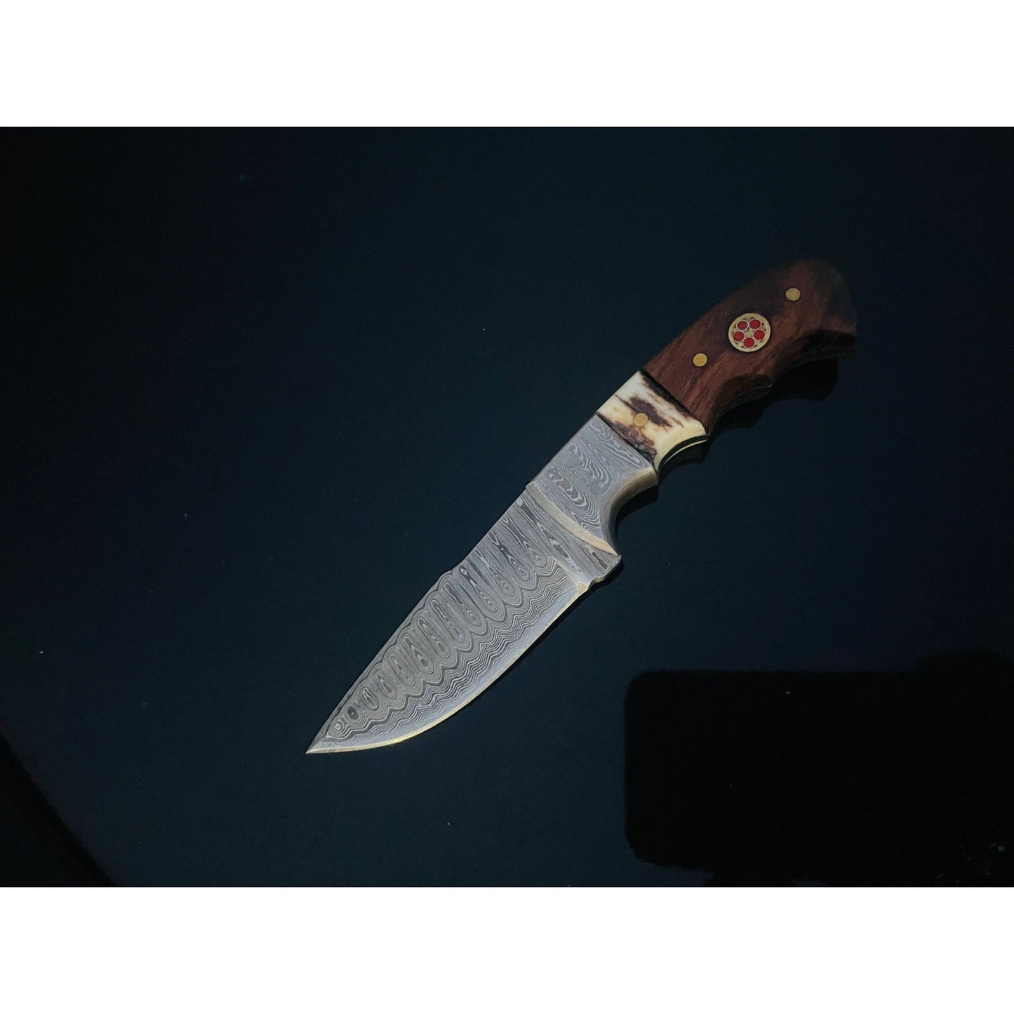 Walnut and Stag horn EDC fixed blade knife