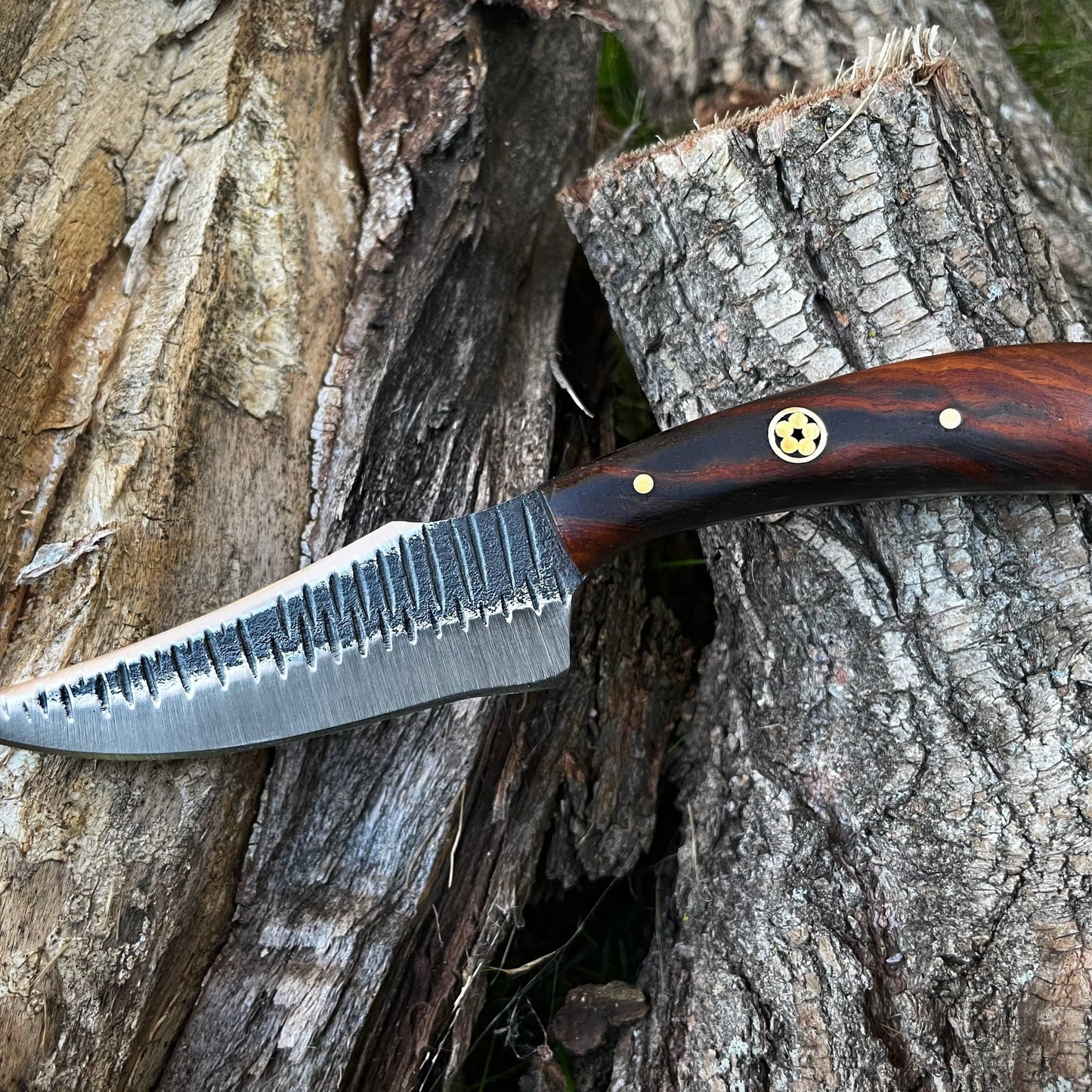 Carbon steel Black Walnut wood scales
