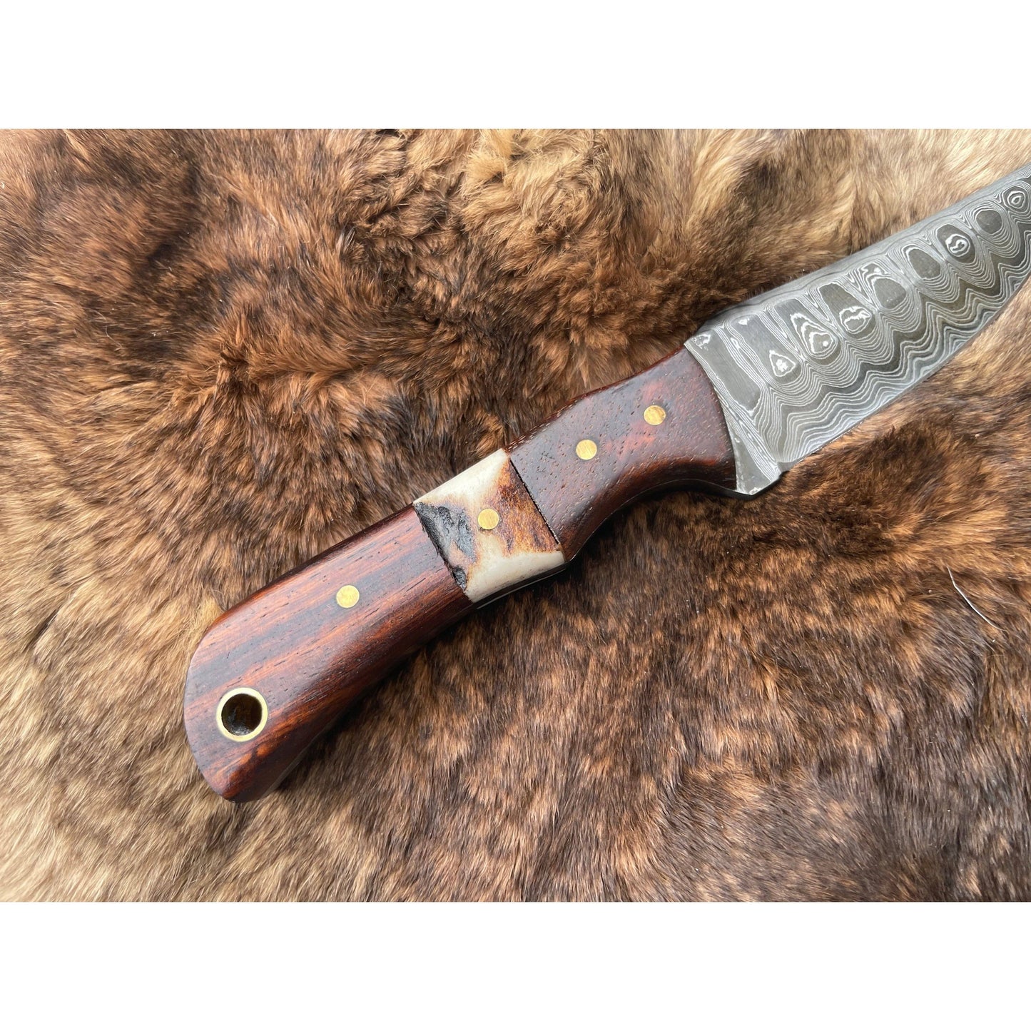 Damascus Steel Skinner Knife with Rosewood & Stag Grip