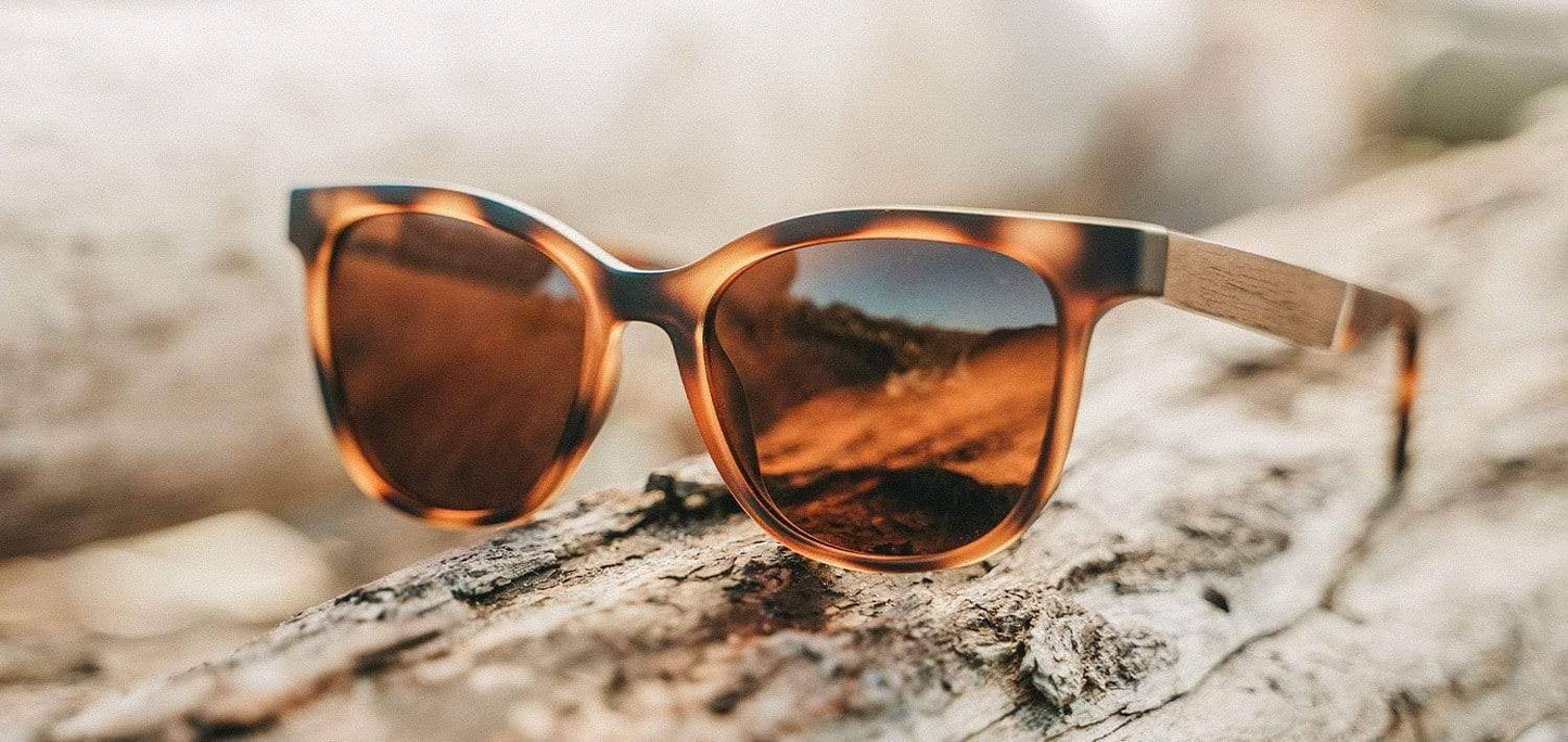 CAMP Cove Sunglasses - Matte Tortoise: Matte Tortoise / Walnut / Basic Polarized Brown