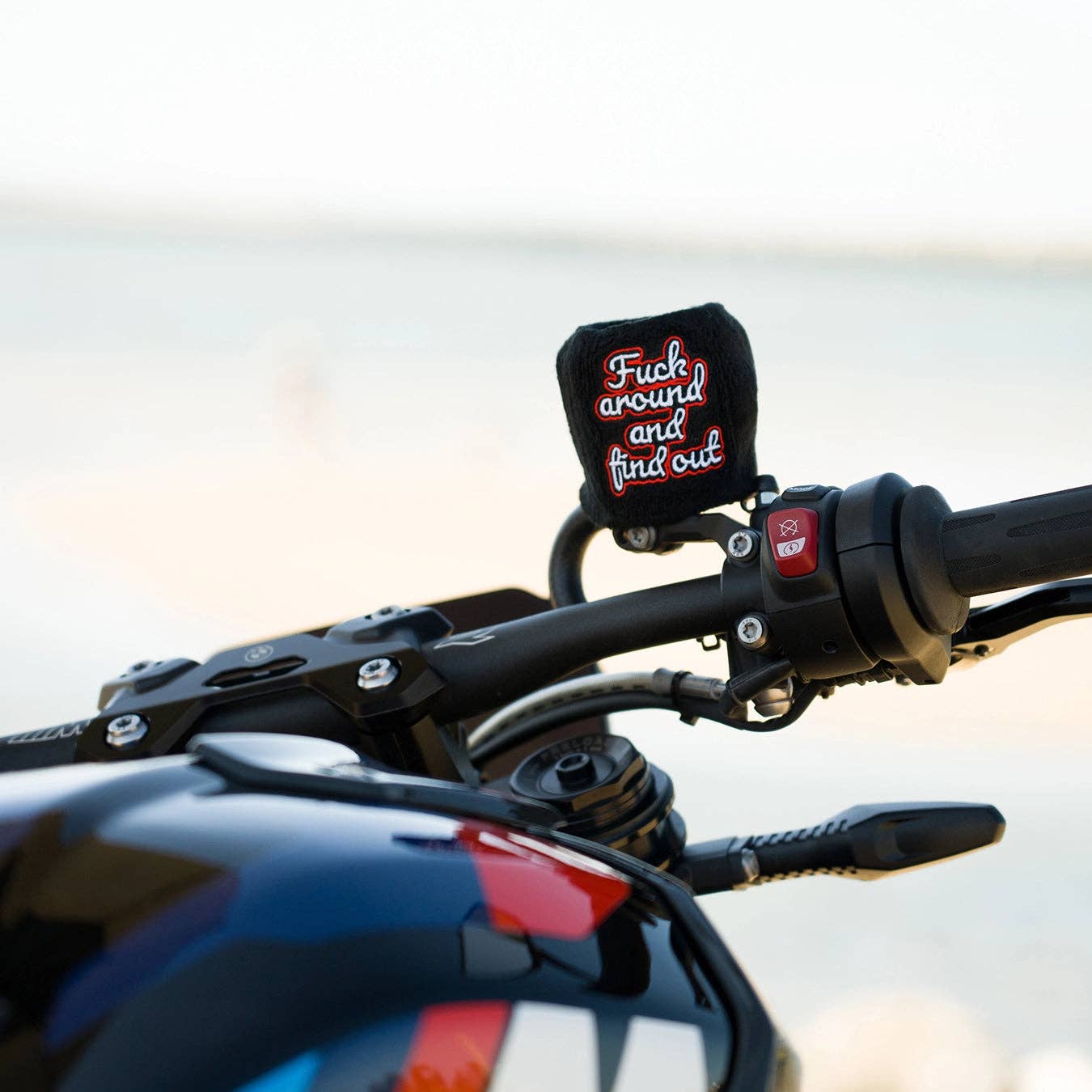 F Around and Find Out - Reservoir Cover