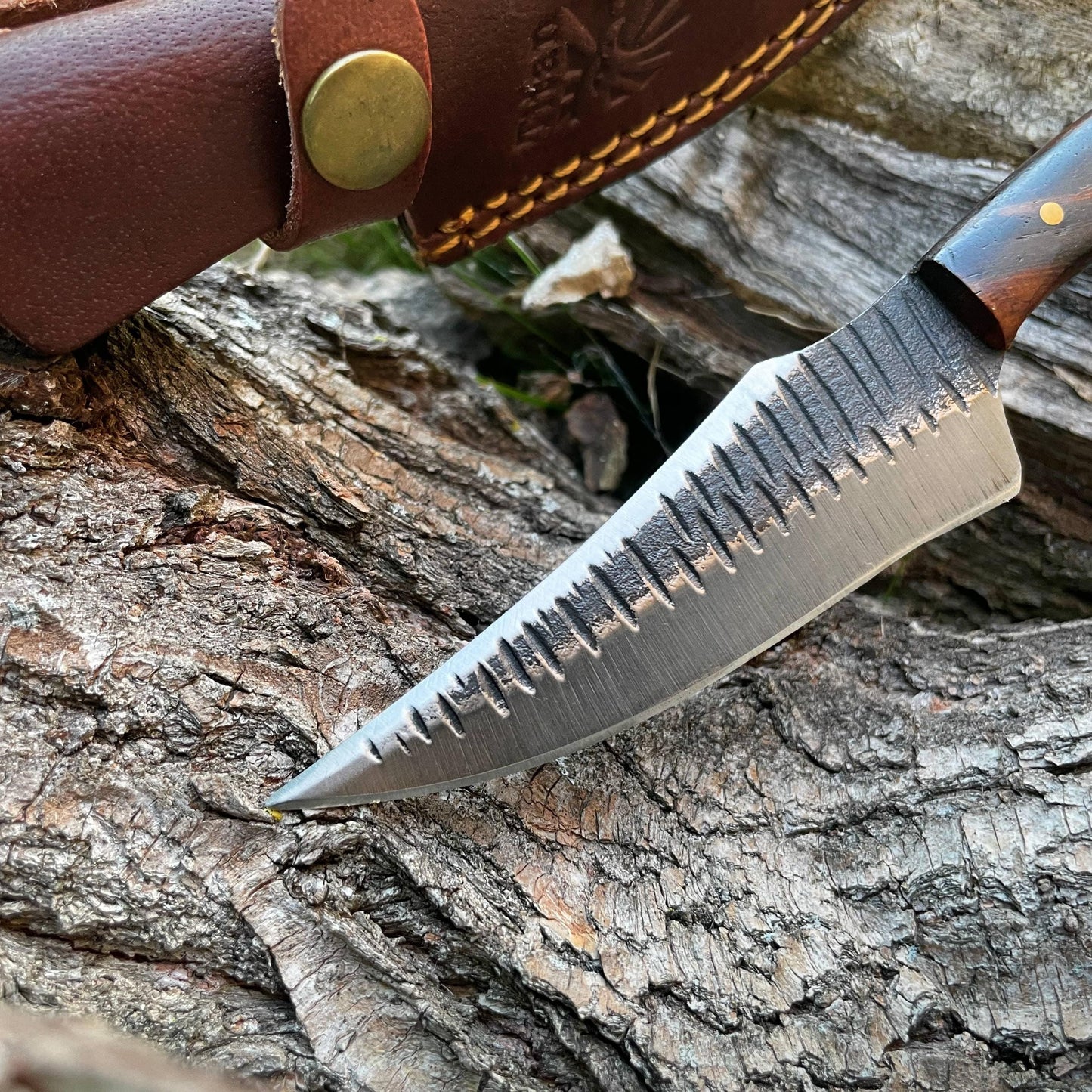 Carbon steel Black Walnut wood scales
