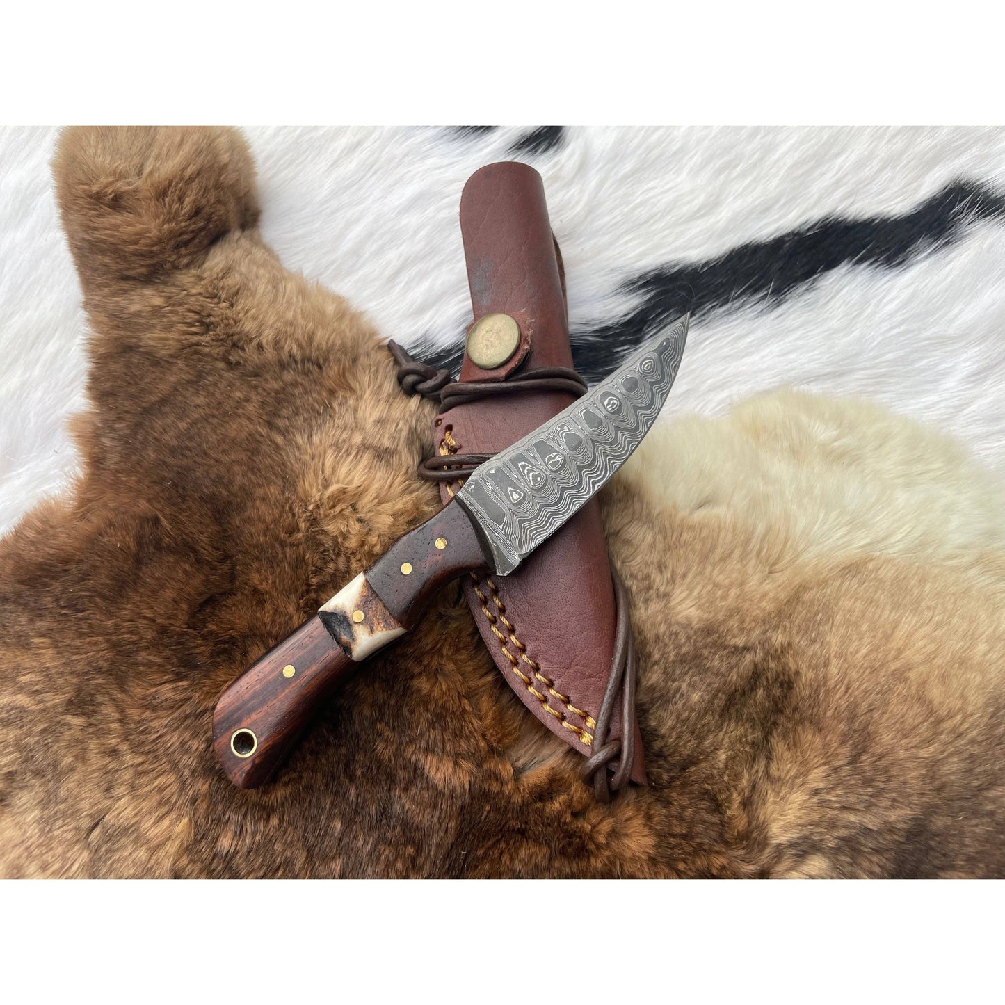 Damascus Steel Skinner Knife with Rosewood & Stag Grip