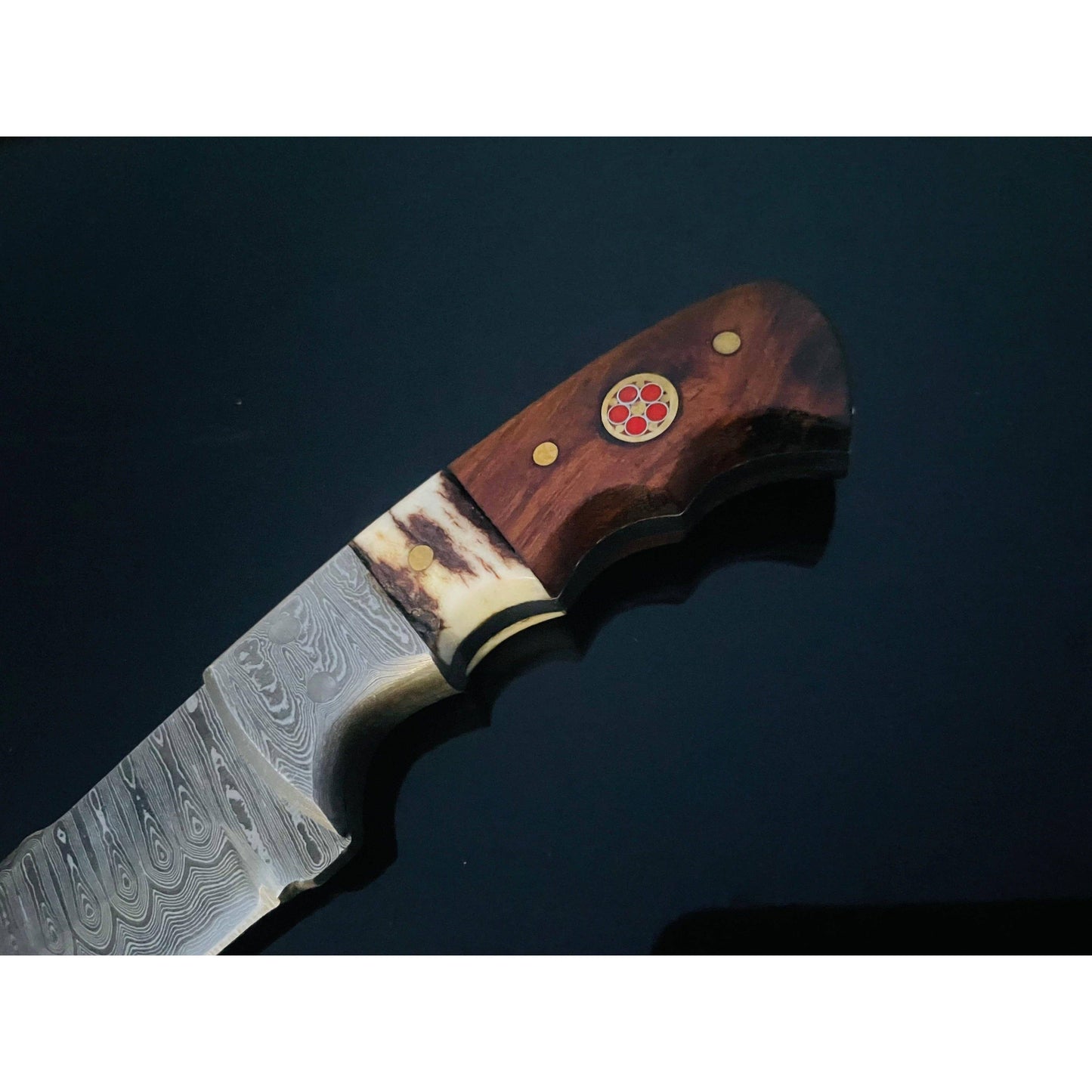 Walnut and Stag horn EDC fixed blade knife