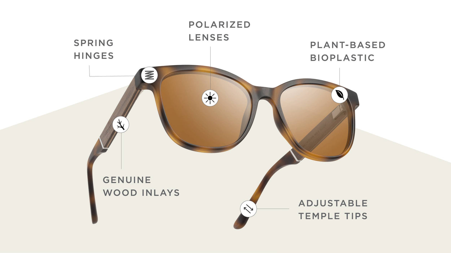 CAMP Cove Sunglasses - Matte Tortoise: Matte Tortoise / Walnut / Basic Polarized Brown