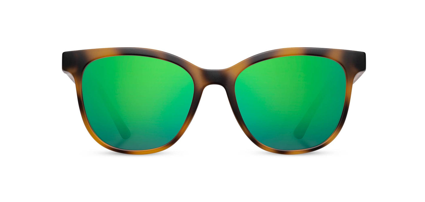 CAMP Cove Sunglasses - Matte Tortoise: Matte Tortoise / Walnut / Basic Polarized Brown