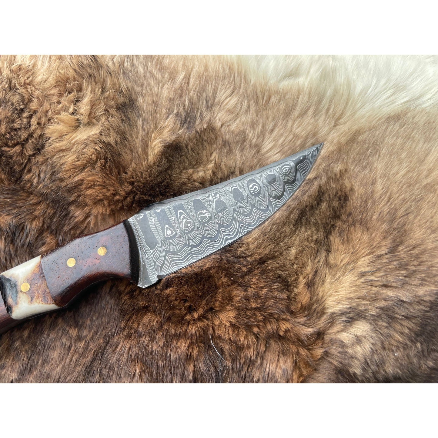 Damascus Steel Skinner Knife with Rosewood & Stag Grip