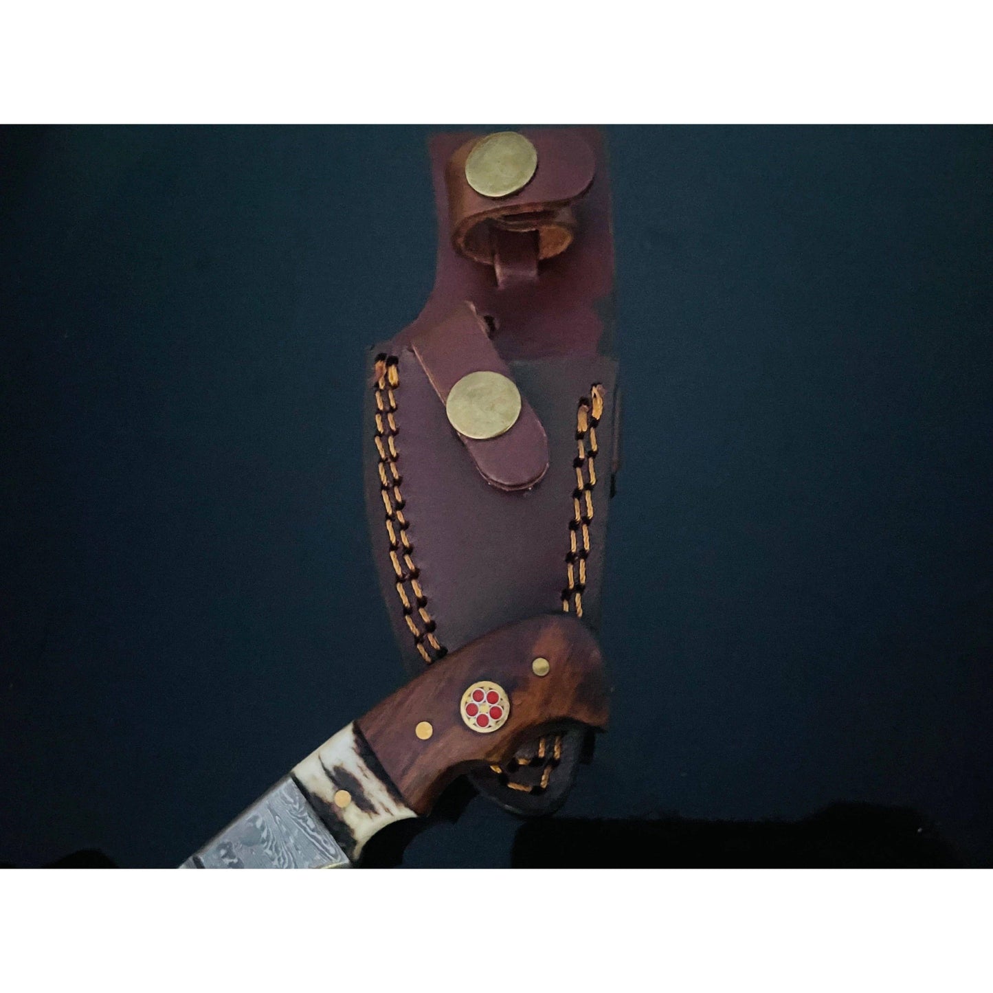 Walnut and Stag horn EDC fixed blade knife