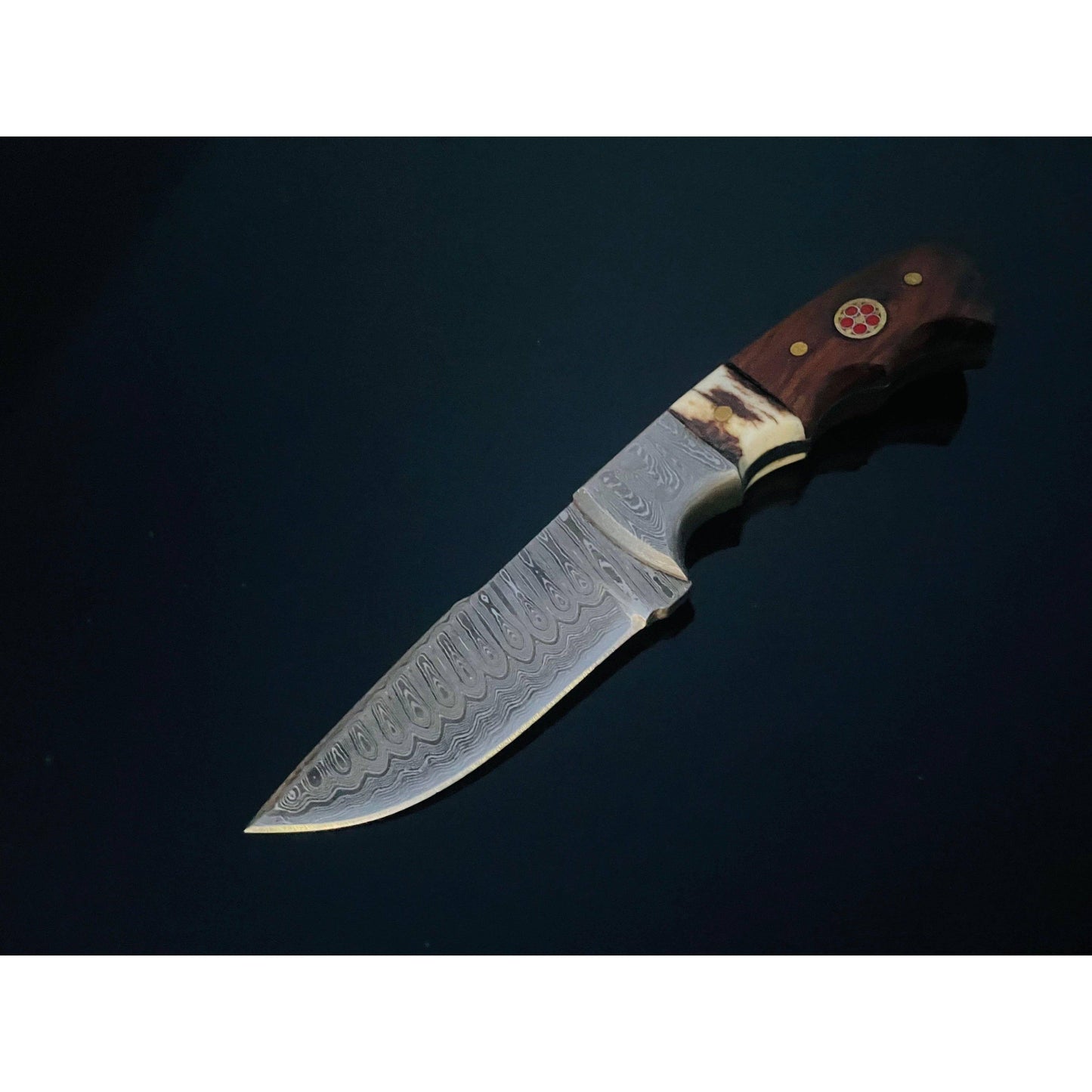 Walnut and Stag horn EDC fixed blade knife