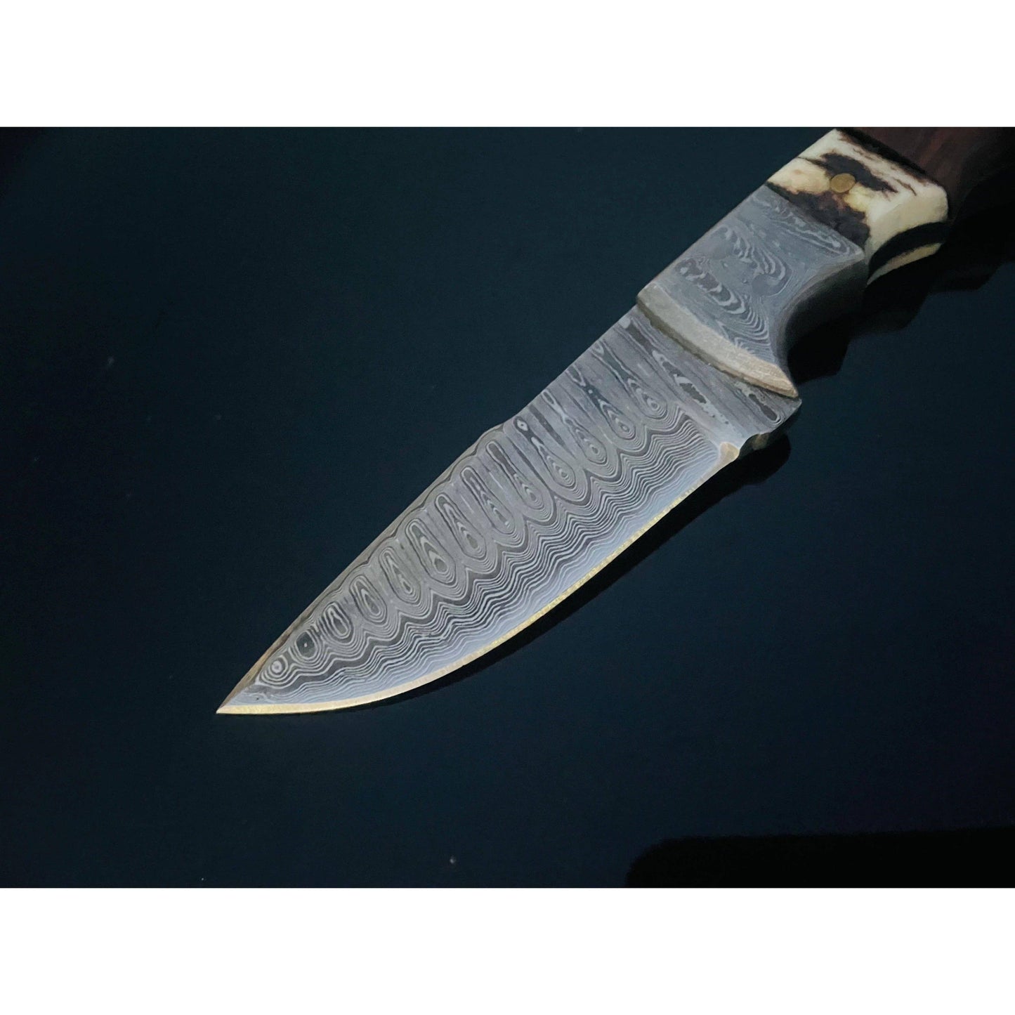 Walnut and Stag horn EDC fixed blade knife