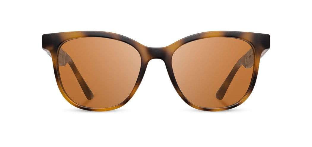 CAMP Cove Sunglasses - Matte Tortoise: Matte Tortoise / Walnut / Basic Polarized Brown