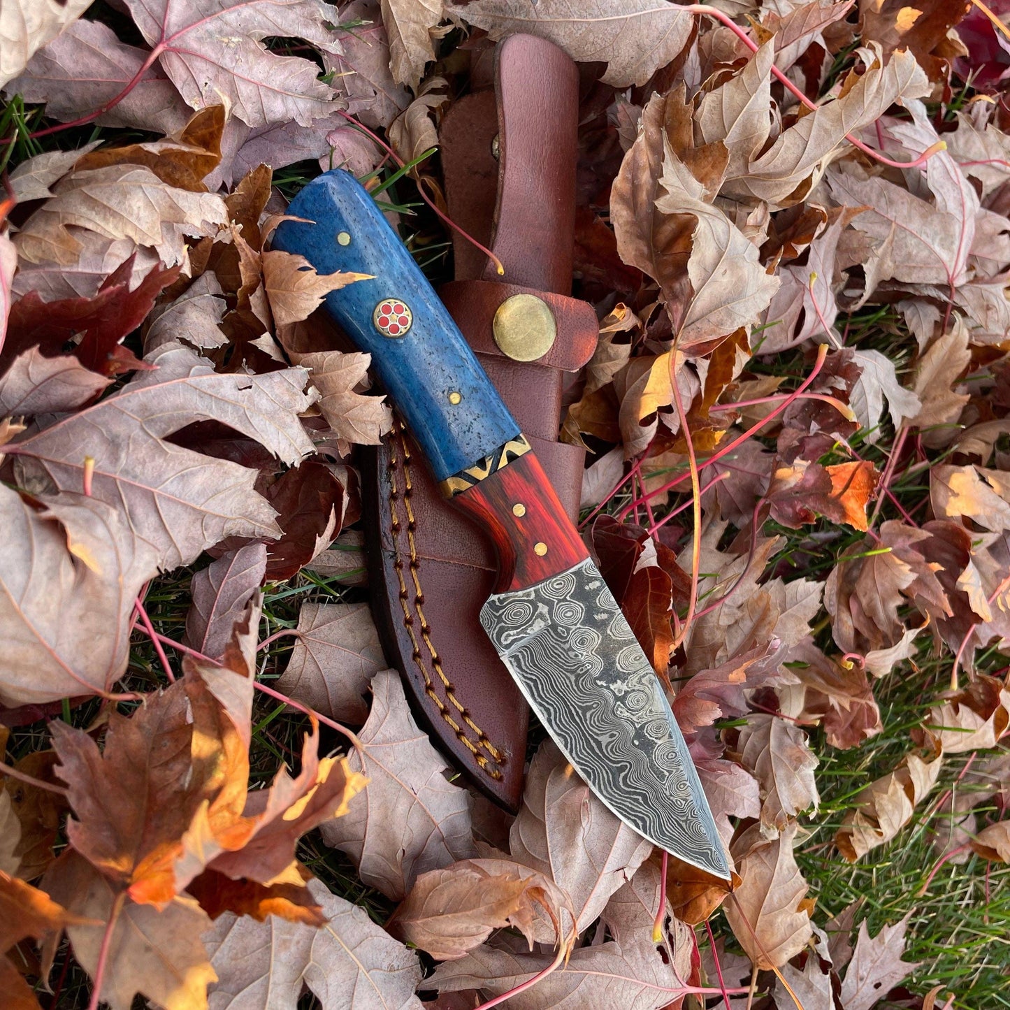 Aurora Blade Hunting Knife