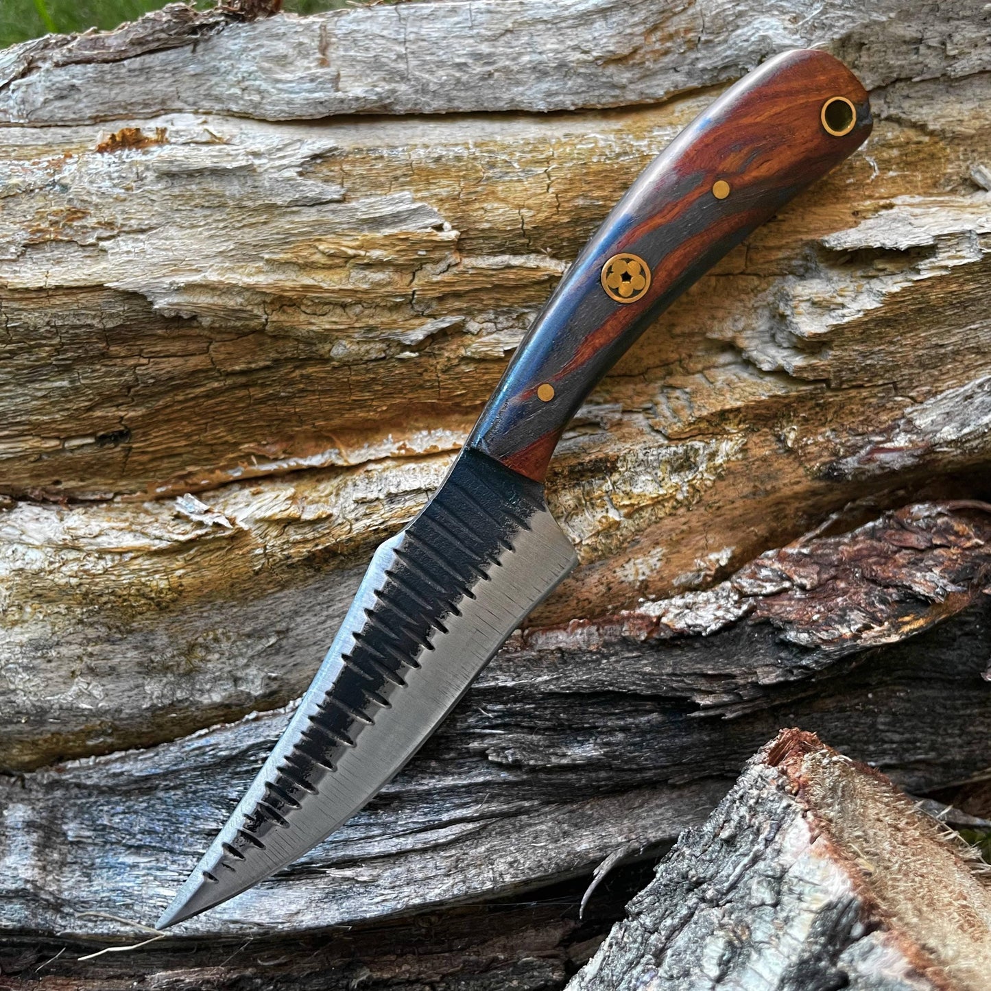 Carbon steel Black Walnut wood scales